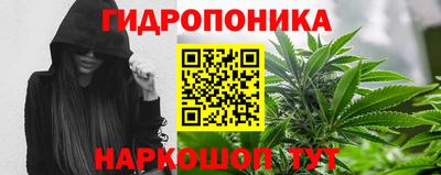 ГАЛЛЮЦИНОГЕННЫЕ ГРИБЫ Тара