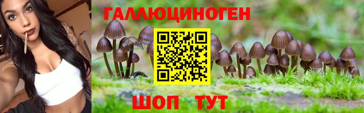 Галлюциногенные грибы Psilocybine cubensis Миасс