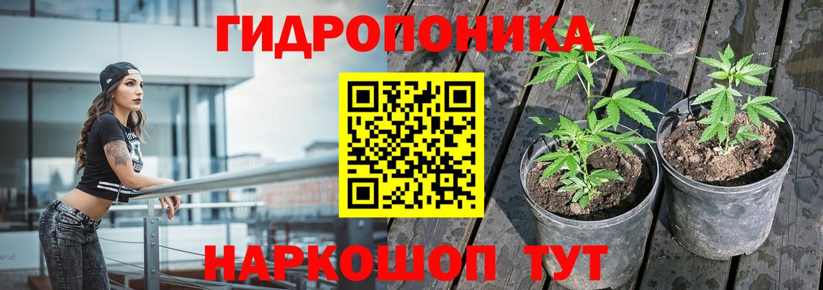 Конопля планчик  МАРИХУАНА THC 21%  Марихуана семена  Вход с VPN  Миасс  Бошки марихуана AK-47 